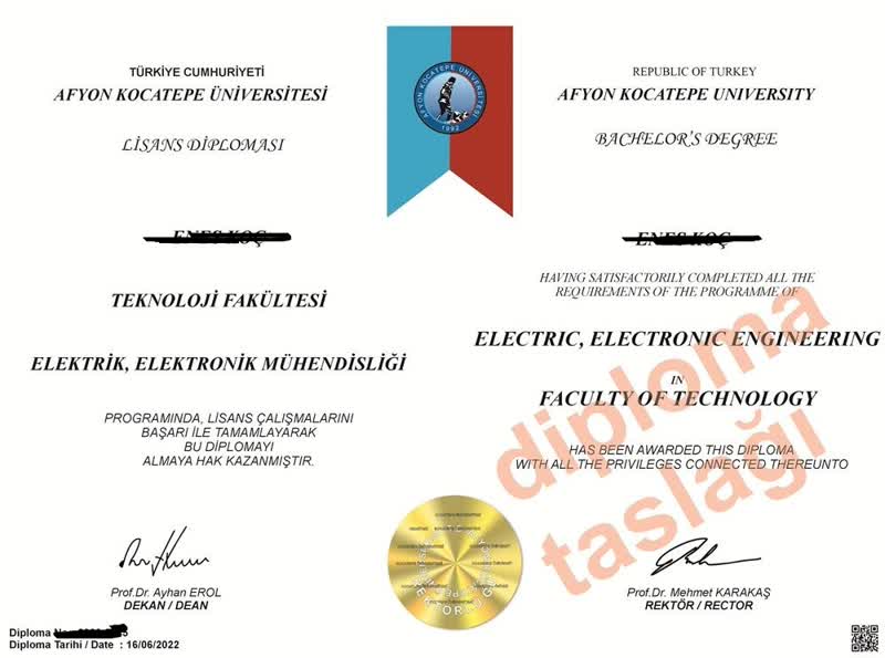 Diploma Kağıt Detayı